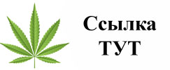 Купить наркотики в Новоалександровске